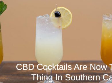 CBD Cocktails trending