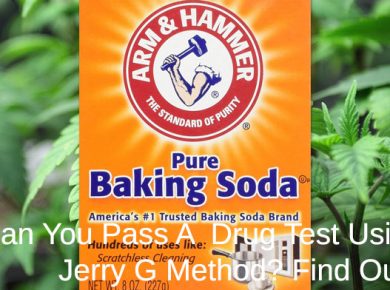 pass a drug test using the jerry g method