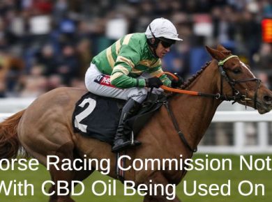 Racehorses and CBD oil